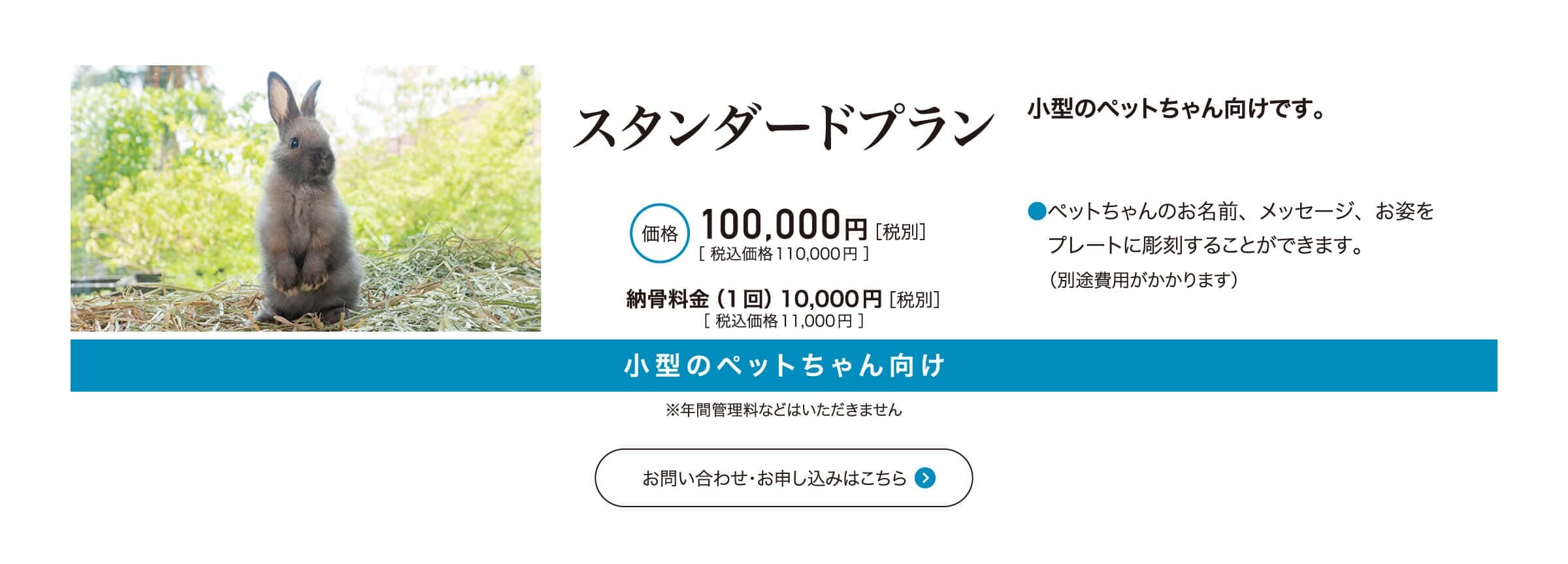 スタンダードプラン