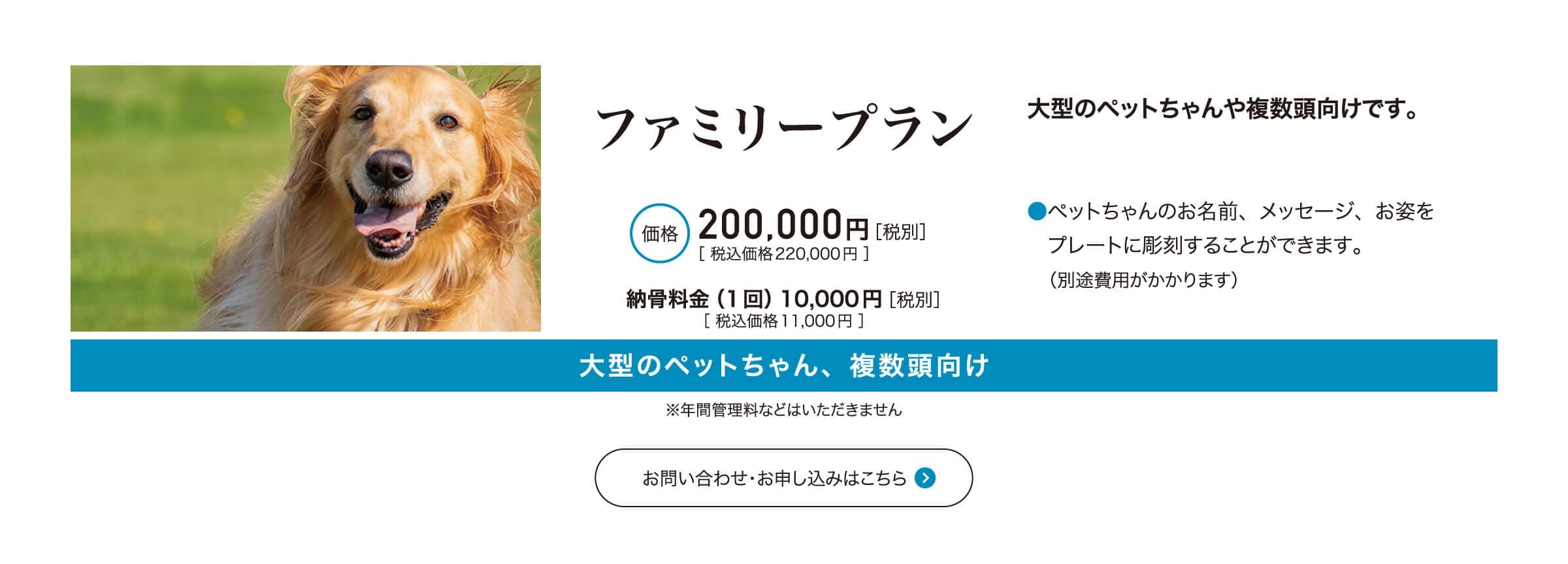 ファミリープラン