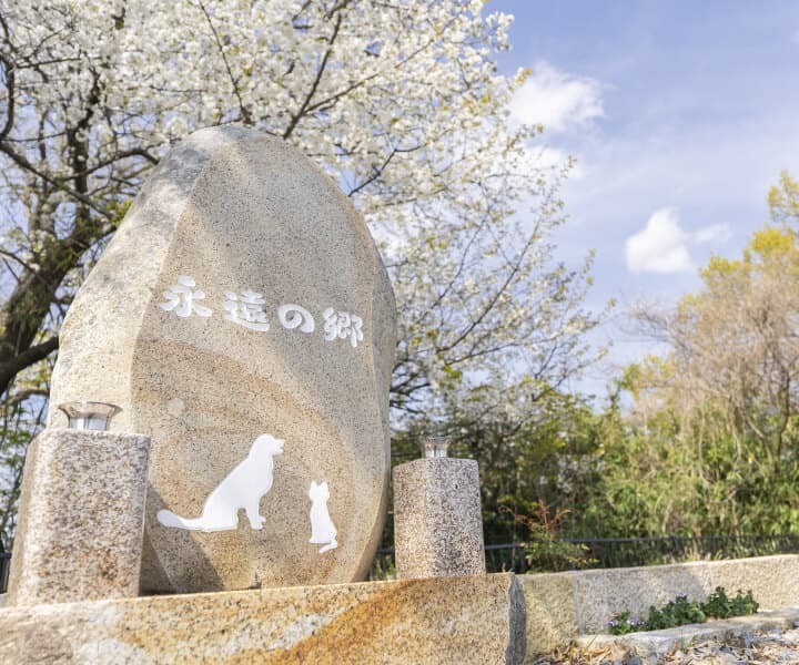 大切なペットのためにペット葬